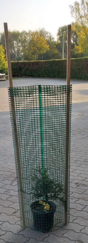 Freiwuchsgitter HQ 500