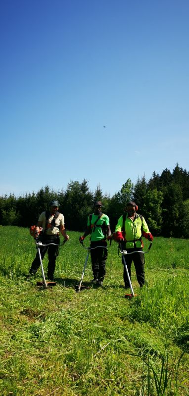 AZ Fachwerker auf Regie, Dienstleistung